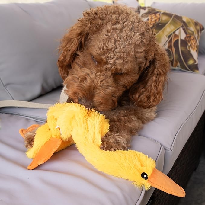 FGA MARKETPLACE Duck Flat NO Stuffing NO Squeak Plush Dog Toy, Funny Style Will Entertain Your Dog for Hours, Recommended for Small and Medium Dog 21 INCH Long