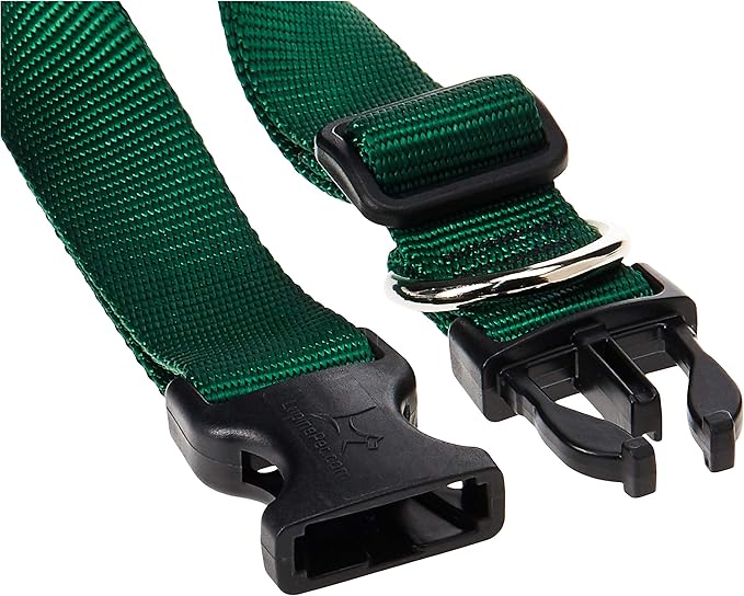 LupinePet Basics 1" Green 12-20" Adjustable Collar for Medium and Larger Dogs