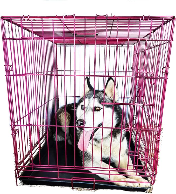 PET Expressions Luxury Colorful 36 Inch Foldable Dog Crate with 2 Doors | Free Training Ebook and Pet Calming Music | 3 Colors & 3