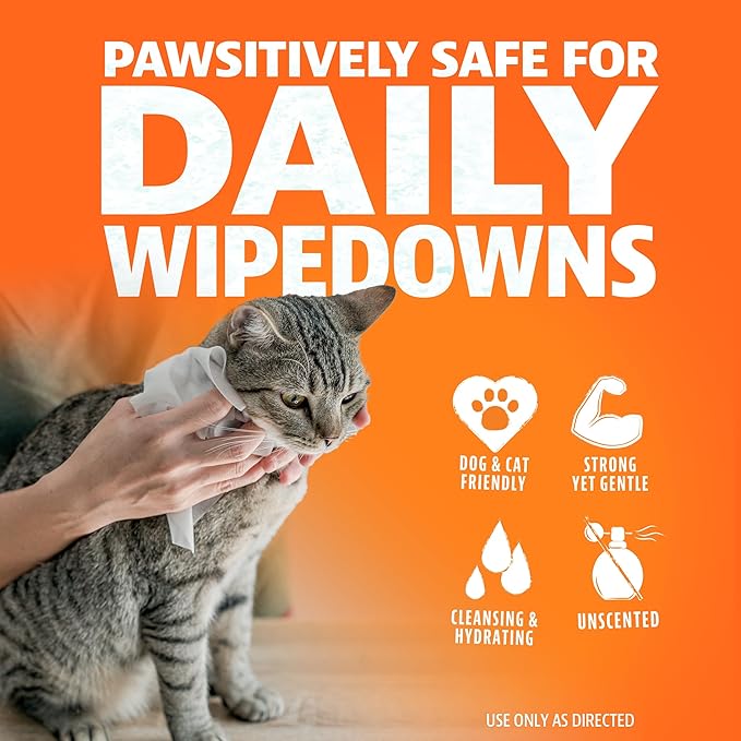ANGRY ORANGE Pet Wipes for Dogs and Cats - Unscented and Gentle Grooming Wipes for Paws, Fur and Butt - 80 Count - 1 Pack