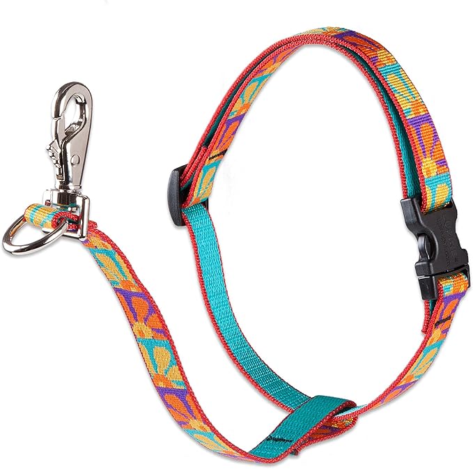 LupinePet Originals 3/4" Crazy Daisy 16-26" No Pull Harness for Small-Medium Dogs