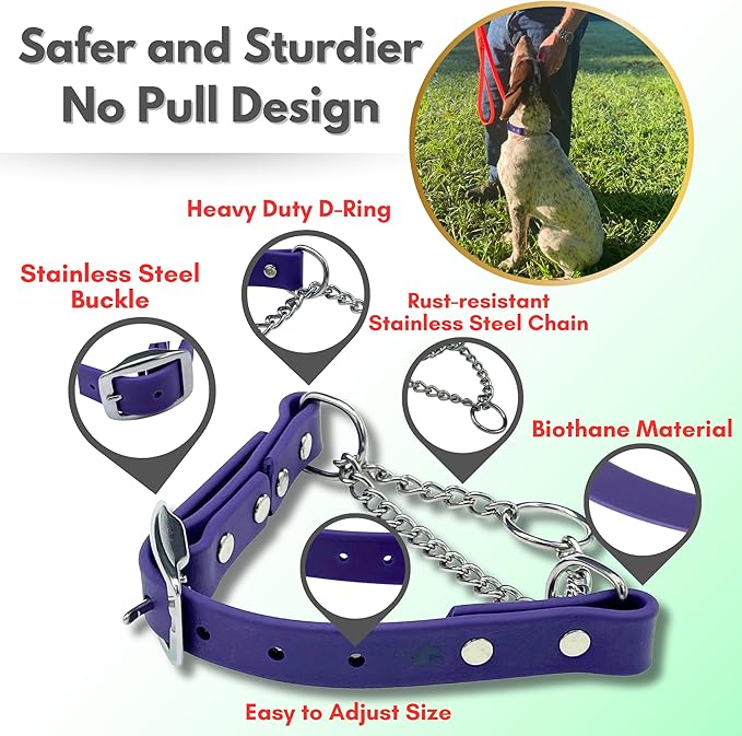 Martingale Collar for Dogs, Biothane, Stainless Steel Hardware, No Pull, Made in The USA, Professional Grade, Large, Purple