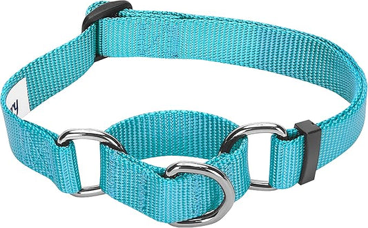 Blueberry Pet Essentials Martingale Safety Training Dog Collar, Turquoise, Medium, Heavy Duty Nylon Adjustable Collars for Dogs