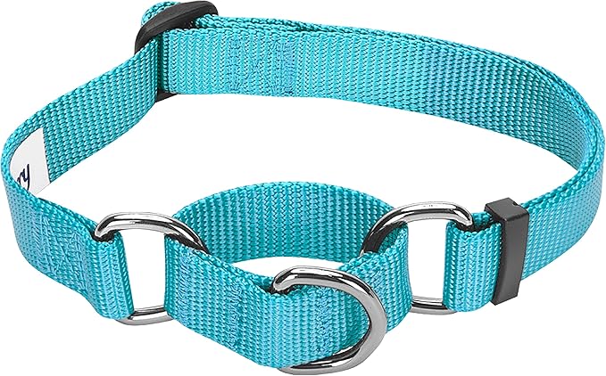 Blueberry Pet Essentials Martingale Safety Training Dog Collar, Turquoise, X-Large, Heavy Duty Nylon Adjustable Collars for Dogs