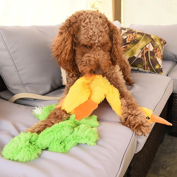 FGA MARKETPLACE Duck and Frog Flat NO Stuffing NO Squeak Plush Dog Toy, Funny Style Will Entertain Your Dog for Hours, Recommended for Small and Medium Dog 21 INCH Long