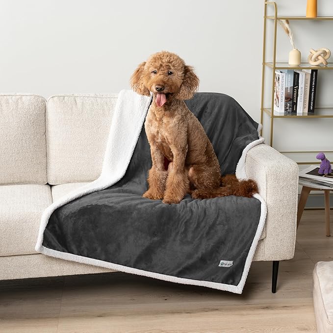PetAmi WATERPROOF Dog Blanket for Bed, XL Dog Pet Blanket Couch Cover Protection, Sherpa Fleece Leakproof Bed Blanket for Crate Kennel Sofa Furniture Protector, Reversible Soft Plush 80x60 Charcoal