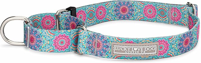 Lucky Love Dog, Boho Chic Martingale Dog Collar for Girl Boy Dogs, Premium No Slip Collar, Vivid Pink and Turquoise Martingale Collar for Dogs (Small, Clara Mart)