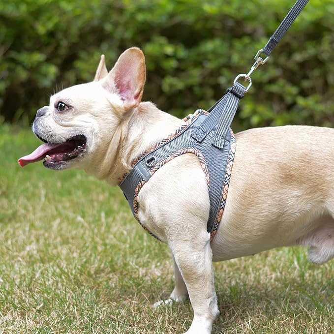 Mercano Soft Mesh Dog Harness and Leash Set, No-Chock Step-in Reflective Breathable Lightweight Easy Walk Escape Proof Vest Harnesses with Safety Buckle for Small Medium Dogs, Cats (Grey, XL)