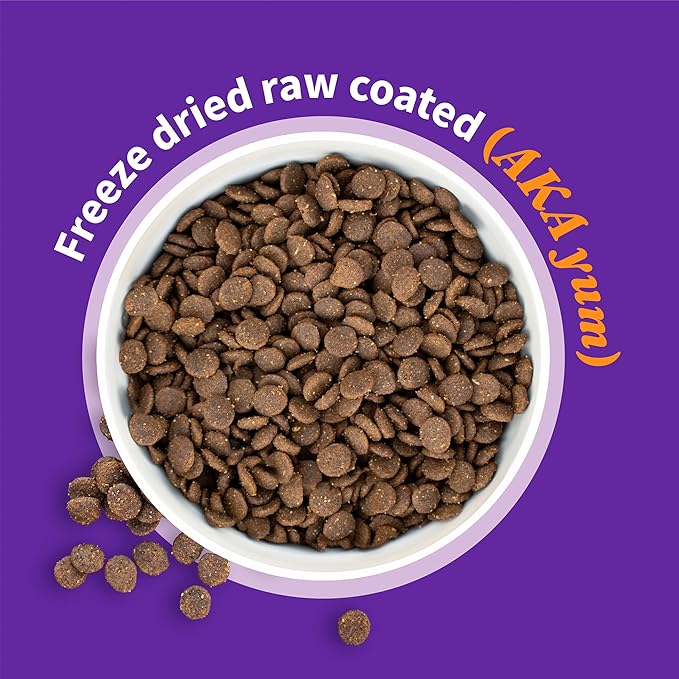 HALO Elevate Dry Dog Food, Healthy Grains Salmon Recipe, 3.5lb