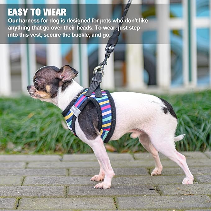 BEAUTYZOO Dog Harness and Leash Set for Small Dogs,No Pull Step-in Harness for Puppy XS S Sized Dogs and Cats,Air Mesh Adjustable Breathable Soft No Chock Escape Proof Vest Harnesses,Striped Teal XXS