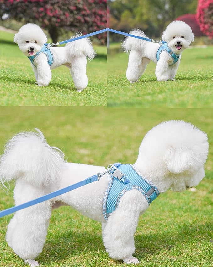 Petank Dog Harness for Small Medium Dogs No Pull, Puppy Harness and Leash Set, Easy Walk Dog Harness for Walking, Running, Training, Small Dog Harness, Medium Dog Harness (Bule, L)