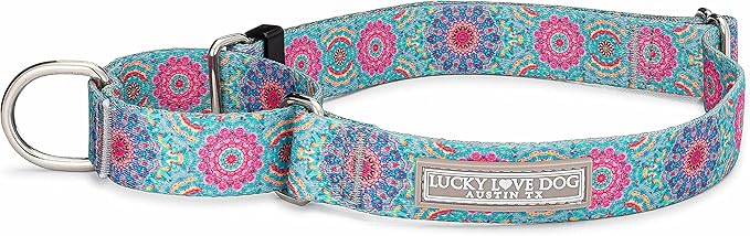 Lucky Love Dog, Boho Chic Martingale Dog Collar for Girl Boy Dogs, Premium No Slip Collar, Vivid Pink and Turquoise Martingale Collar for Dogs (Large, Clara Mart)