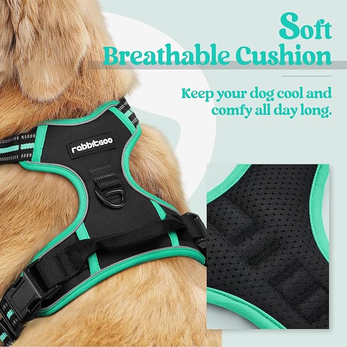 rabbitgoo Dog Harness, No-Pull Pet Harness with 2 Leash Clips, Adjustable Soft Padded Dog Vest, Reflective No-Choke Pet Oxford Vest with Easy Control Handle for Large Dogs, Black & Turquoise, M