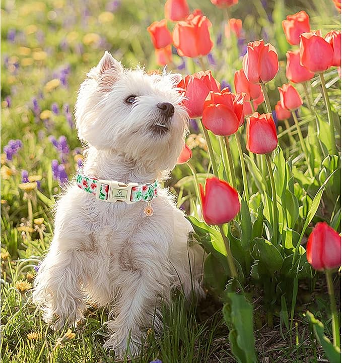 Lionheart glory Dog Collar Pink Flower Dogs Collar Summer Spring Cute Collars Dog Girl or Boy Soft Durable Adjustable Dog Collars for Medium Dogs Pet Gift