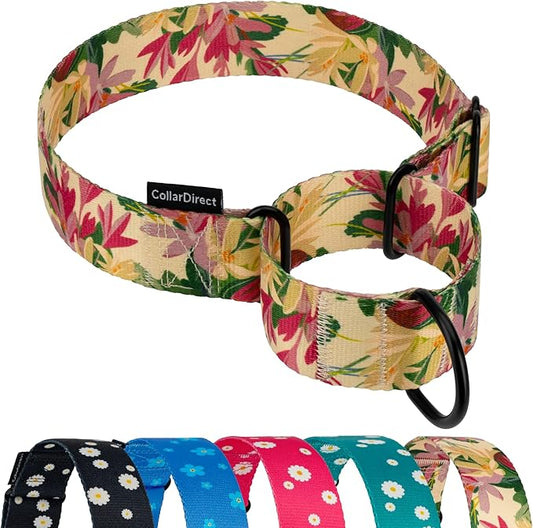 CollarDirect Martingale Collars for Dogs Heavy Duty Floral Pattern Female Safety Nylon Training Wide Collar Flower Design Large Medium (M, Neck Size 12"-17", Toffee)
