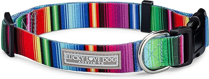 Lucky Love Dog Collars, Rainbow Striped Dog Collar for Big Dogs, Vivid Pattern Girl or Boy Dog Collars, Nacho, Extra Large