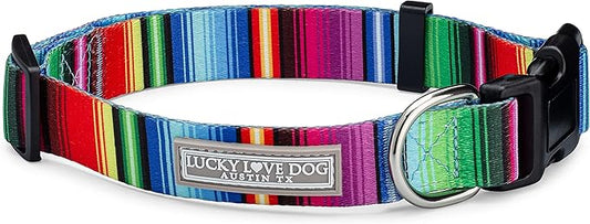 Lucky Love Dog Collars, Rainbow Striped Dog Collar for Tiny Dogs, Vivid Pattern Girl or Boy Dog Collar, Nacho, X-Small