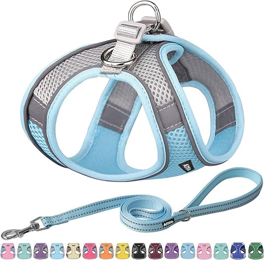 AIITLE Dog Harness, Spring No-Pull Cat Harness with a Leash, Adjustable Reflective Dog Vest, Cat Harness Escape Proof, Outdoor Walking, Camping for Extra Small Dogs and House Cats Blue XXXS