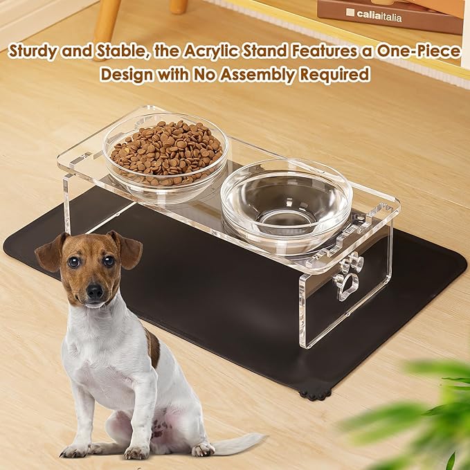 Dog and Cat Bowls Elevated Set - Acrylic Feeder Stand with 2 Set Removable Stainless Steel and Glass Bowls Food and Water Raised Dishes for Medium Dogs,5.5 inches