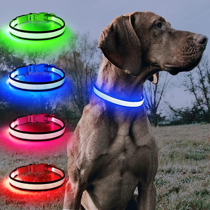 BSEEN Light Up Dog Collars - Reflective LED Dog Collar, Rechargeable Puppy Collar for Small Dogs, Glow in The Dark Dog Camping Gear, Flashing Dog Lights for Night Walking (Small, Blue)