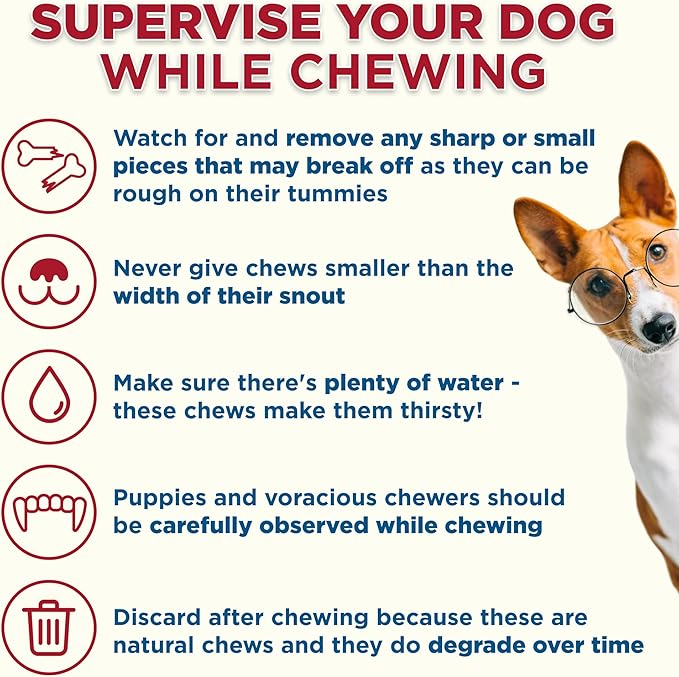 Best Bully Sticks Jumbo Smoked Beef Shin Bones (3 Pack) - Free-Range, All-Natural, & Grass-Fed Beef Dog Chews