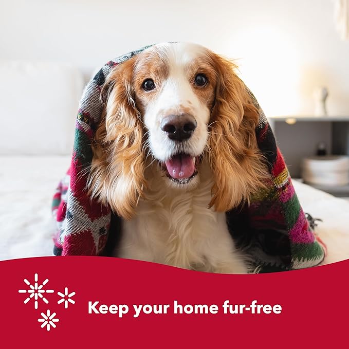 Coastal Pet Safari Dog Soft Slicker Brush - Dog Grooming Brush for Shedding - for Dogs with Short, Medium and Long Hair - Small - 6.5" x 2.5"