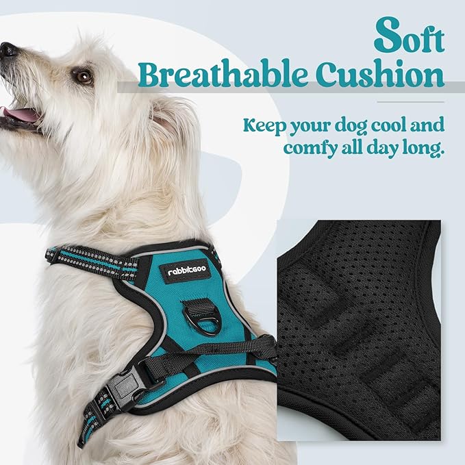 rabbitgoo Dog Harness, No-Pull Pet Harness with 2 Leash Clips, Adjustable Soft Padded Dog Vest, Reflective No-Choke Pet Oxford Vest with Easy Control Handle for Large Dogs, Teal, X-Small