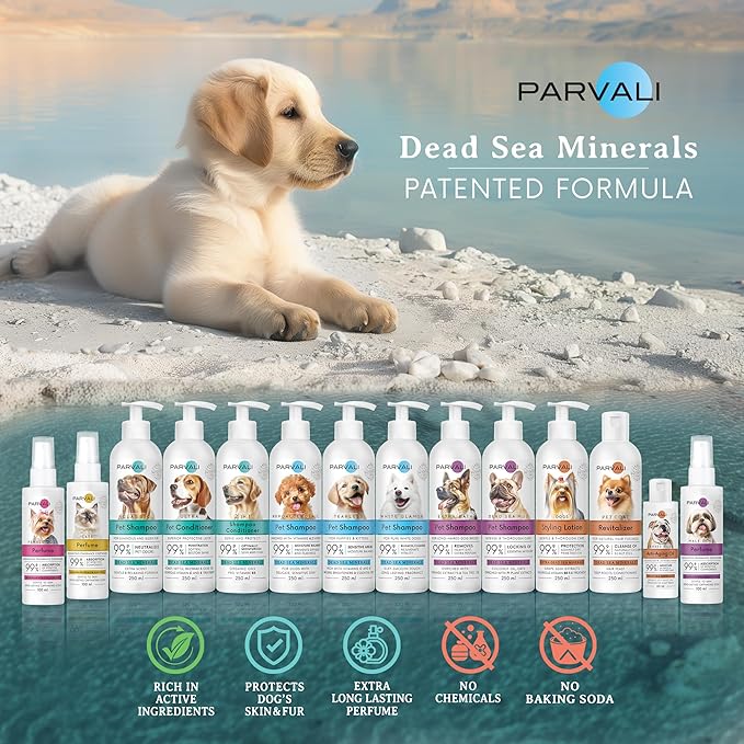 Natural Dead Sea Puppies and Kittens Tearless Shampoo (250 ml, 8.45 fl oz). Gentle, Eyes Safe, Antioxidant, Anti-Bacterial Formula. Rich with Minerals, Extra-Scented, Easy Application. Enjoy!