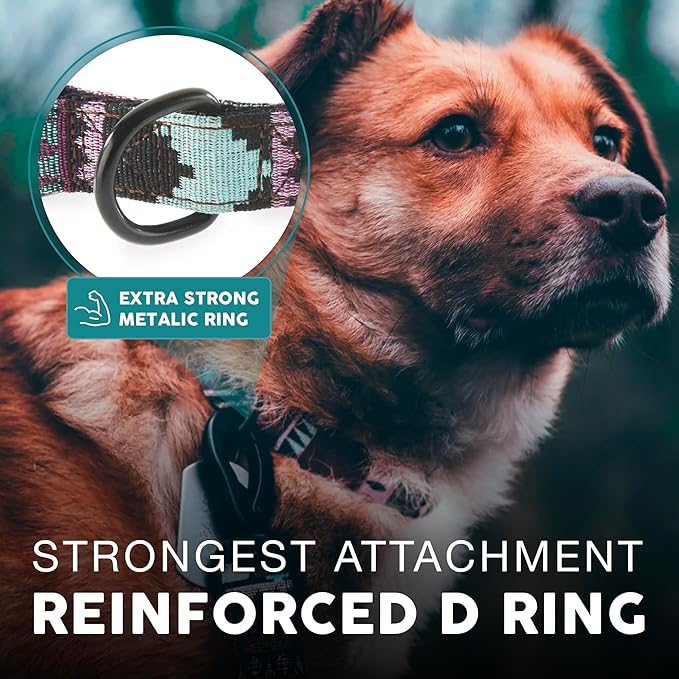 Embark Urban Dog Collar – Dog Collar Stylish & Durable Nylon Dog Collar for Large Dogs, Small Dogs & Medium Dogs.Comfortable Pet Collar Strong Buckles for Any Size Breed (Aztec, Small)