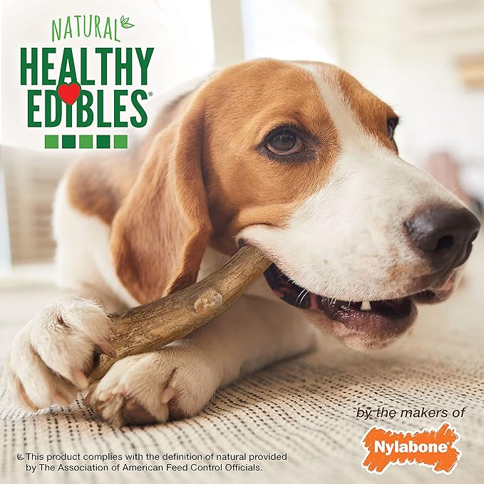 Nylabone Healthy Edibles WILD Antler Natural Long Lasting Venison Flavor Dog Chew Treats Antler Medium/Wolf (10 Count), -