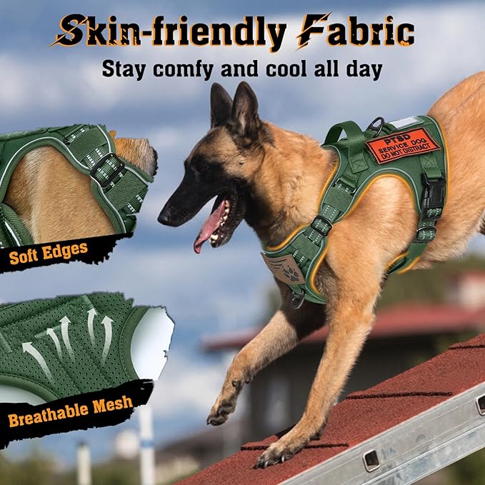 rabbitgoo Dog Harness Small Sized No Pull, Tactical Service Dog Vest with Molle and Control Handle, Adjustable and Reflective Military Pet Harness for Easy Walking and Training, Green, S