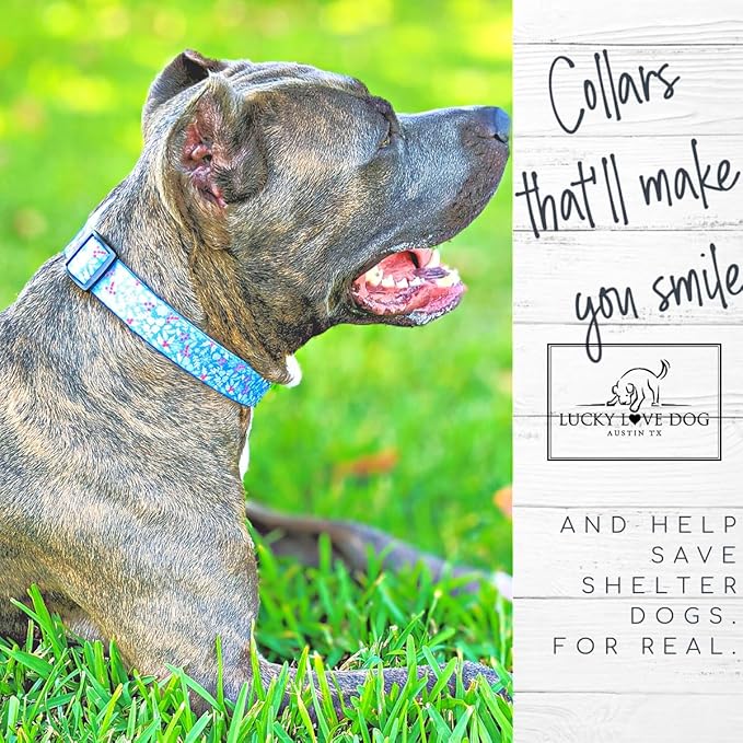 Lucky Love Dog Winter Themed Martingale Collar and Leash Set, Premium No Slip Collar and Leash Set, Snowflake Christmas Martingale Collar for Large Dogs - (Winterblue No Slip, L - Combo)