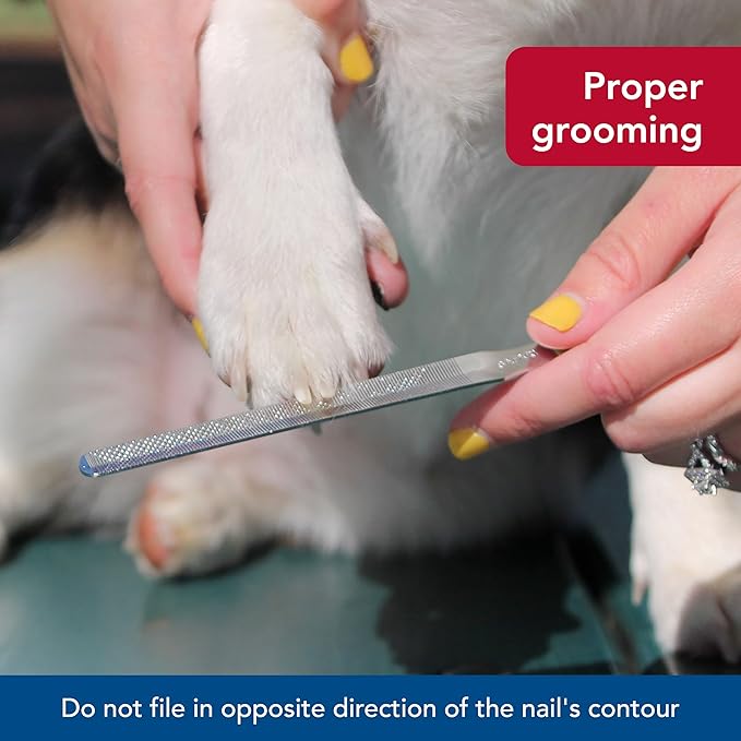 Coastal Pet Safari Dog Nail File - Ensure a Smooth Finish After Cutting - Remove Burs from Outdoor & Indoor Dogs - One Size
