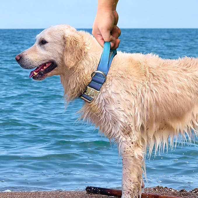 Tactical Military Dog Collar, Strong Heavy Duty Dog Collar, Wide Thick Dog Collar with Handle, Soft Neoprene Padded Collar with Quick Release Metal Buckle for Medium Large Dogs (Blue, M)