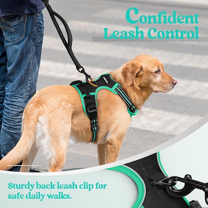rabbitgoo Dog Harness, No-Pull Pet Harness with 2 Leash Clips, Adjustable Soft Padded Dog Vest, Reflective No-Choke Pet Oxford Vest with Easy Control Handle for Large Dogs, Black & Turquoise, S
