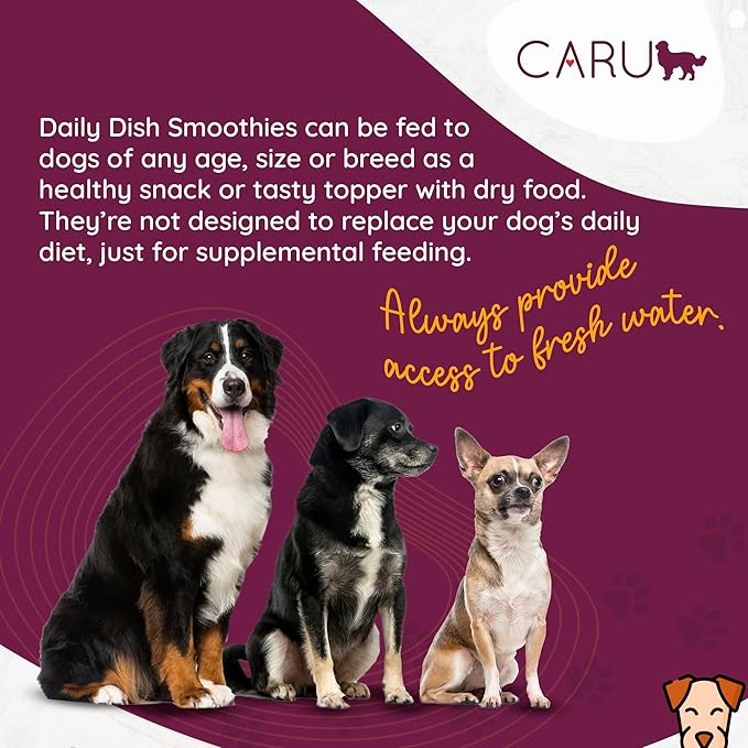 Caru - Daily Dish Smoothies - Lickable Chicken Dog Treat or Pet Food Topper - .5oz Tubes - 4 Tubes per Pack - 12 Pack