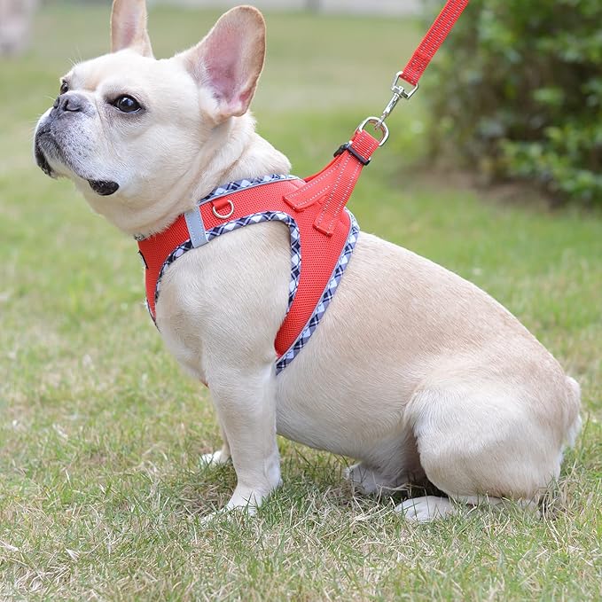 Mercano Soft Mesh Dog Harness and Leash Set, No-Chock Step-in Reflective Breathable Lightweight Easy Walk Escape Proof Vest Harnesses with Safety Buckle for Small Medium Dogs, Cats (Red, S)