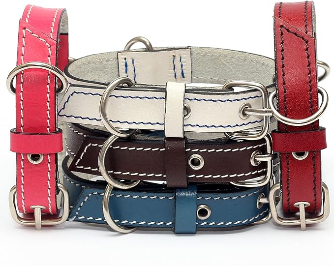 Premium Leather Collars with Stainless Steel Buckles (9"-12", Chocolate)