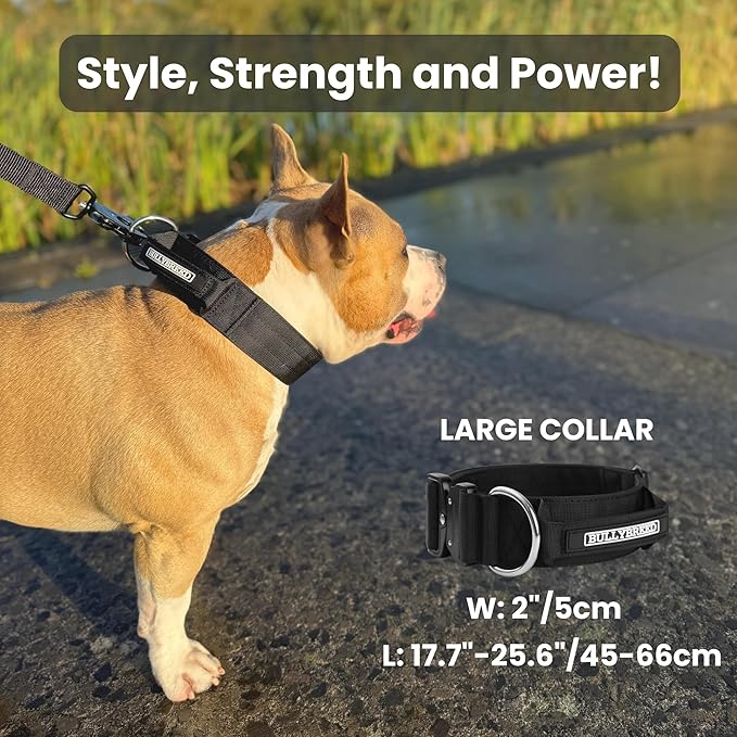 BULLYBREED Premium Dog Colar with Handle, Heavy Duty Dog Collar, Tactical Dog Collar, Quick-Release Metal Buckle, Thick Dog Collar, Dog Collar for Medium Dogs, Dog Collar for Large Dogs (Green, Large)