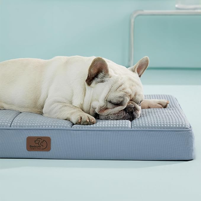 Bedsure Cooling Gel Foam Dog Bed for Large Dogs, Waterproof Orthopedic Egg Foam Dog Bed for Outdoor, Summer Comfort Pet Mats for Crate with Washable Cover(24"x16", Blue)