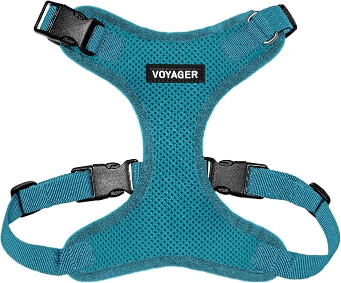 Voyager Step-in Lock Pet Harness - All Weather Mesh, Adjustable Step in Harness for Cats and Dogs by Best Pet Supplies - Turquoise, S