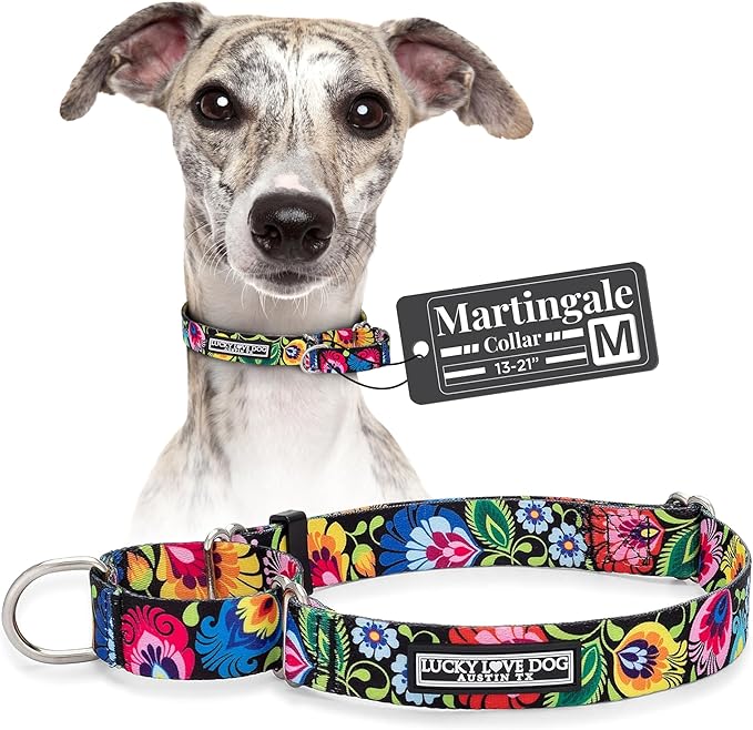 Lucky Love Dog Martingale Dog Collar - Adjustable, No-Slip, Durable, & Soft Webbing Dog Collar for Male and Female Dogs Ideal for Training & Walking - Stylish Blackbird Pattern, Medium Size
