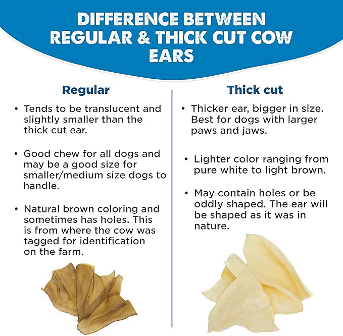 Best Bully Sticks All-Natural Thick-Cut Cow Ears for Small, Medium and Large Dogs - 100% Natural Free-Range Grass-Fed Beef Single Ingredient High Protein, Easily digestible Dog Chew Treats - 12 Pack