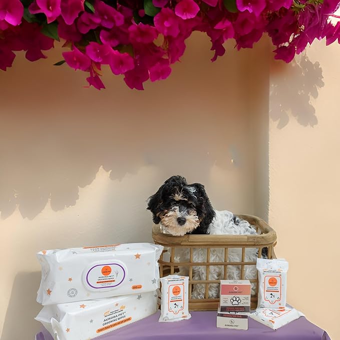 Aurora Pet Wipes – 100% Natural, Plant-Based Hypoallergenic Grooming Wipes for Dogs & Cats – Extra-Durable, Large & Thick for Effortless Cleaning (Lavender, 100 Count)