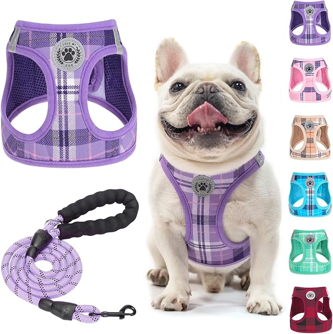BEAUTYZOO Small Dog Harness and Leash Set, Step in No Chock No Pull Soft Mesh Dog Harnesses Reflective for Extra-Small/Small Medium Puppy Dogs and Cats, Plaid Dog Vest Harness for XS S Pets, Purple M