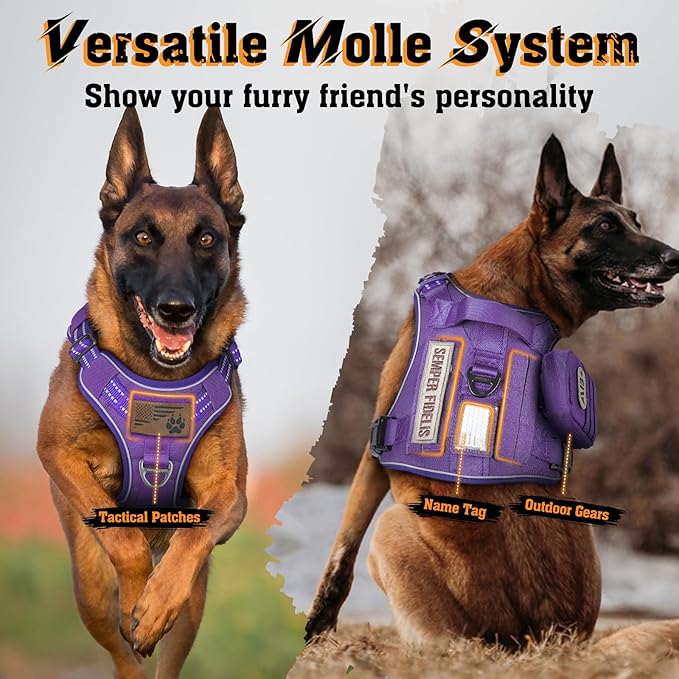 rabbitgoo Dog Harness Medium Sized No Pull, Tactical Service Dog Vest with Molle and Control Handle, Adjustable and Reflective Military Pet Harness for Easy Walking and Training, Purple, M