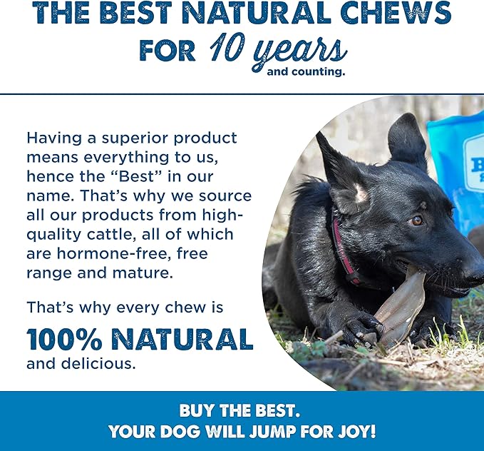 Best Bully Sticks All-Natural Cow Ears for Dogs, 15 Pack - High Protein, Easily digestible Dog Chew Treats - Single Ingredient Grass-Fed Beef