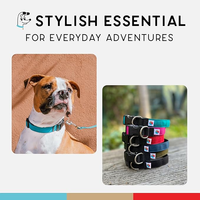 Dog Collar, Lightweight, Heavy Duty Dog Collar with Buckle, Fabric Pet Collar, Breathable & Adjustable Puppy Collar, Dog Collar for Large Dogs (Turquoise, Large - 14-24 Inch) - Wildebeest