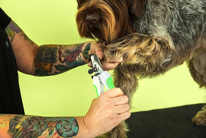 Andis 68575 Animal Nail Cutter for Small Breeds - Stainless Steel Blades with Sharp Efficiency - Designed for Repeated Use & Recommended by Pet Trainers – Medium Size & White/Green