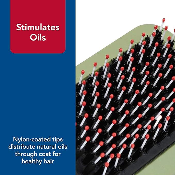 Coastal Pet Safari Comfort Grip Curry Brush for Dogs - Dog Bath and Shampoo Brush and Massager for Indoor & Outdoor Dogs with Short Hair - One Size